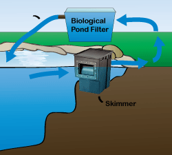 Filtration Cycle