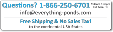 Free Shipping and No Sales Tax