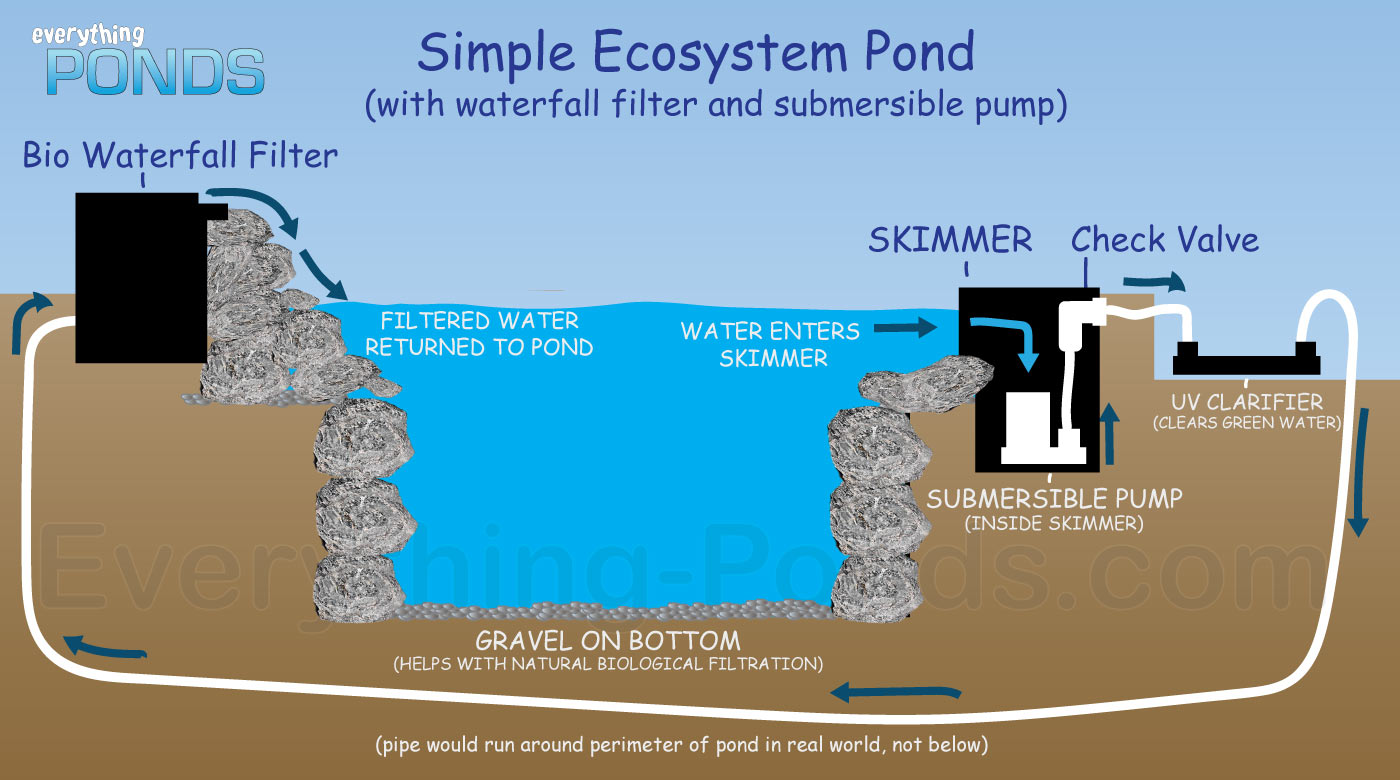 simple ecosystem pond kit submersible drawing big
