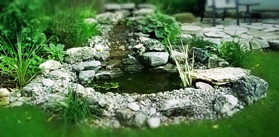 Small Garden Ponds