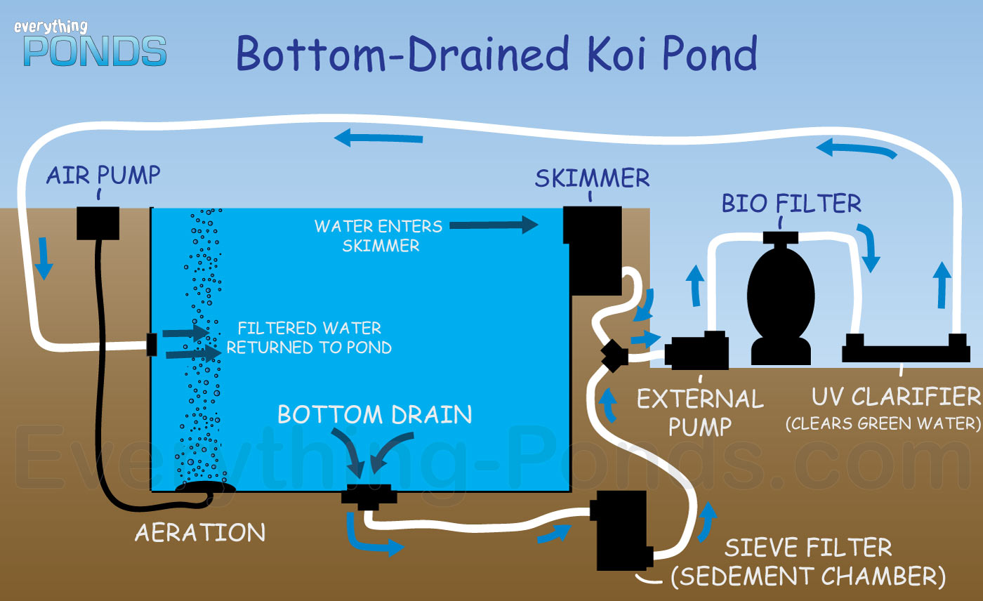 Bottom Drained Koi Pond