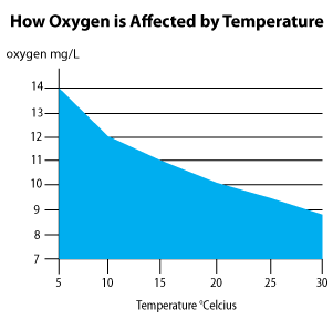 How temperature affects disolved oxygen