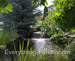 natural pond designs