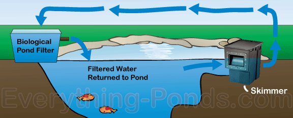 Water Garden Filters - Everything-Ponds.com ammonia piping diagram 