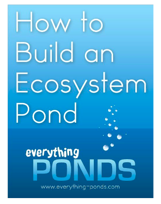 How_to_Build_a_Pond_Ebook