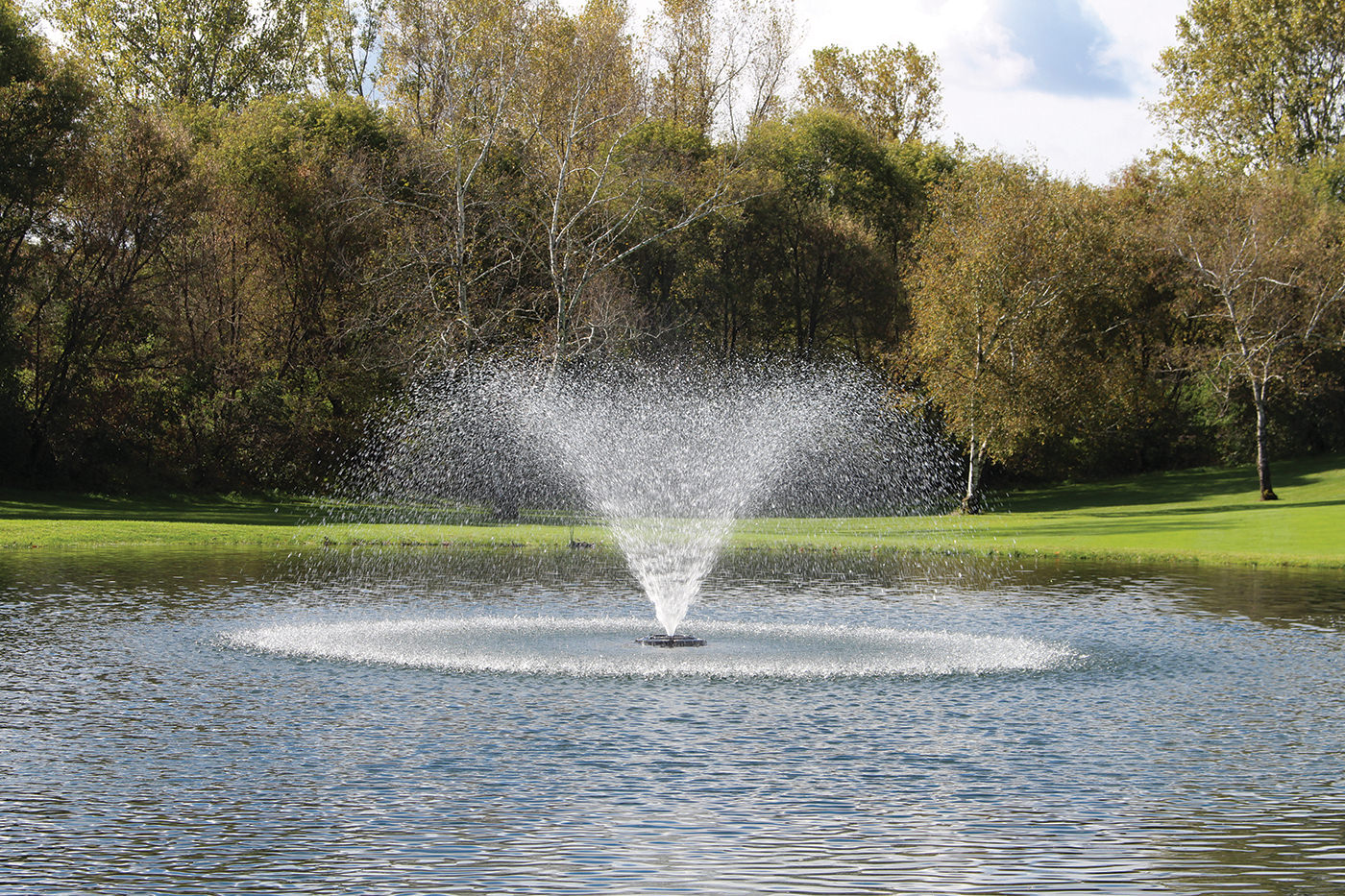 Willow Kasco Water Fountain