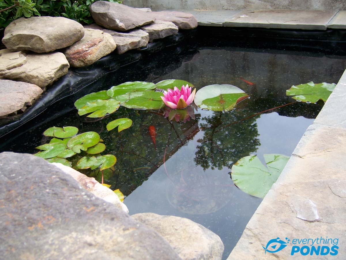 Rectangular Box Welded Pond Liner Insert (Flexible)