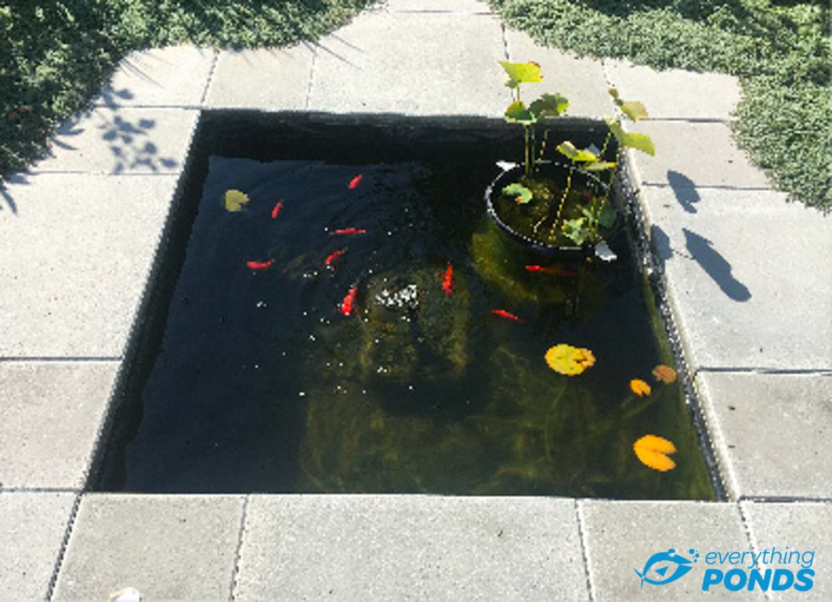 Circular Box Welded Pond Liner Insert (Flexible)