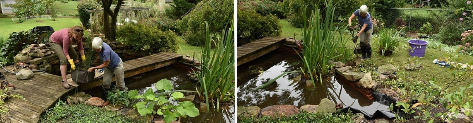 Adding plants to Richards Water Garden