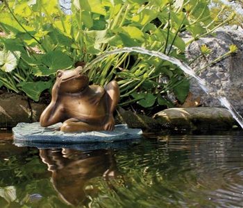 Pond Water Features/Spitters