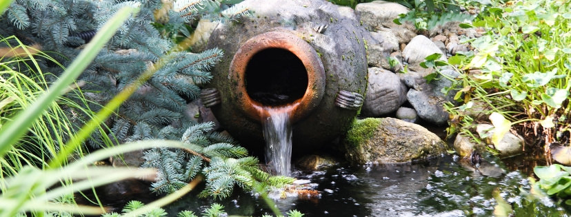 Water Garden Pond Features