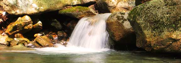 Yard Waterfalls