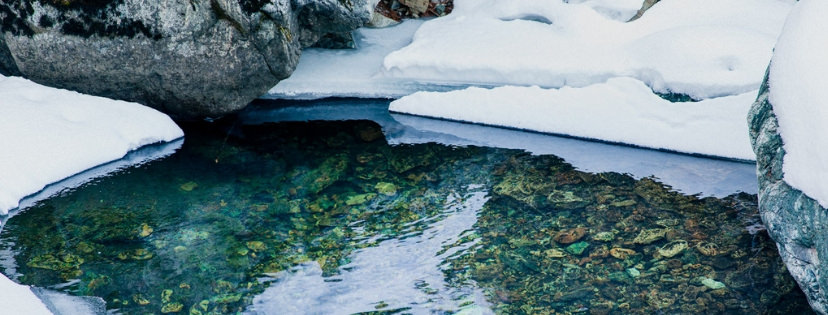 HOW TO WINTERIZE YOUR POND How To WinterIze A FIsh Pond