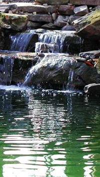 garden-ponds-waterfalls