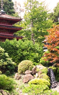 japanese-garden-waterfall