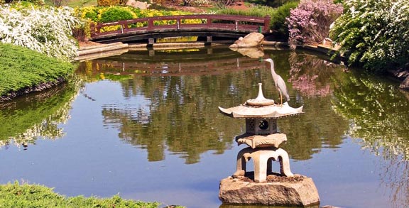 japanese-water-gardens
