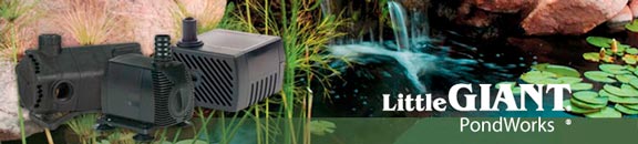 little-giant-pond-pump-pondworks-header