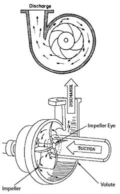 water-pump-internals-diagram