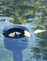 in-pond-skimmer