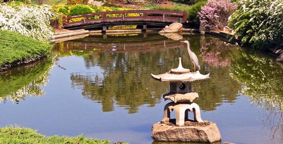 Japanese Water Gardens